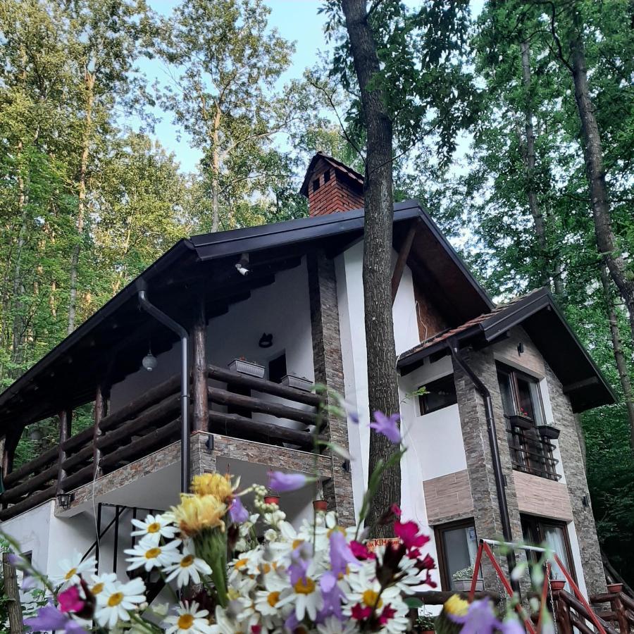 Villa Ktm Lisine *